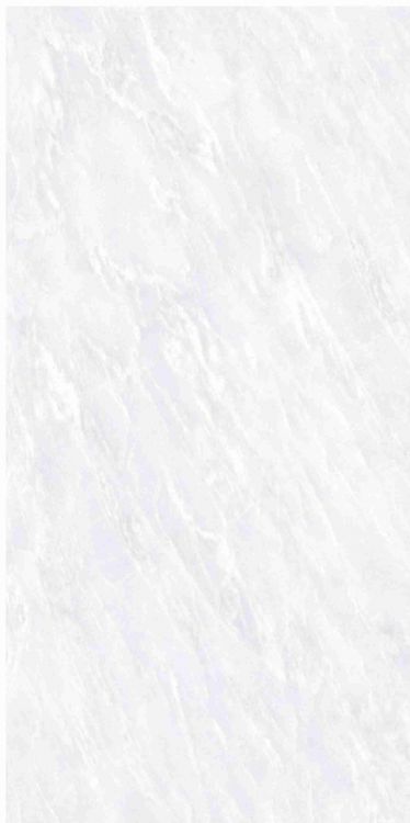 OL Vivid White Matte 12 x 24
